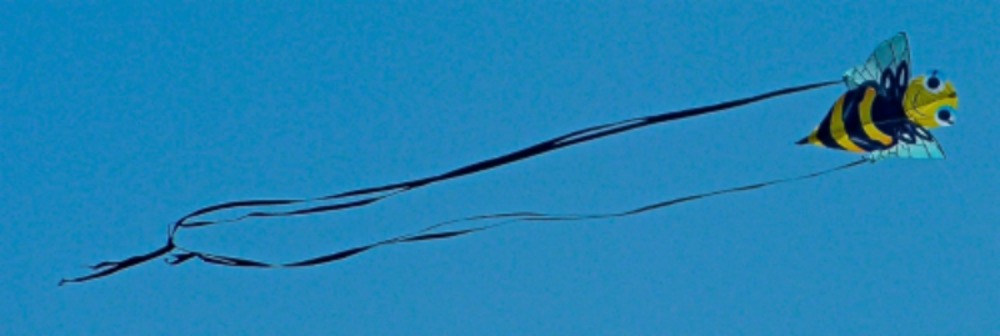 natural kite