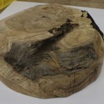 burl 2