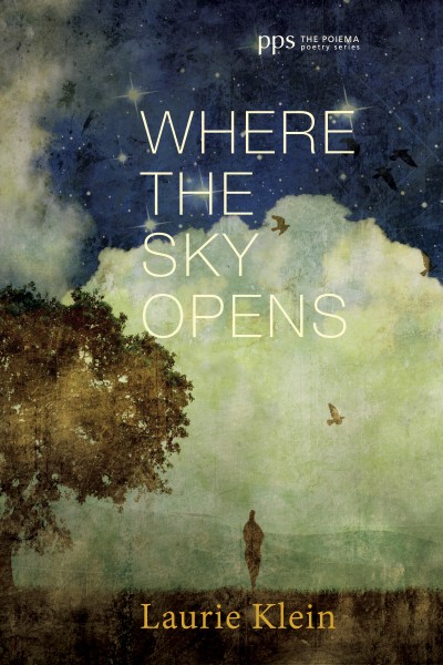 Where the Sky Opens, a Partial Cosmography