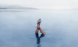 anchor
