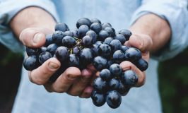 terroir, and extravagant fruit